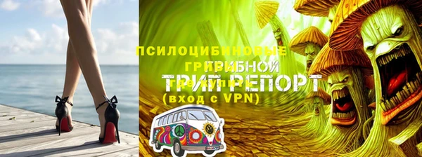 соль курить ск Алзамай